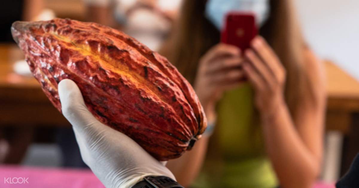 Pod Chocolate Factory and Cafe Ticket in Bali